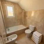Elviria Panoramic Views Penthouse
